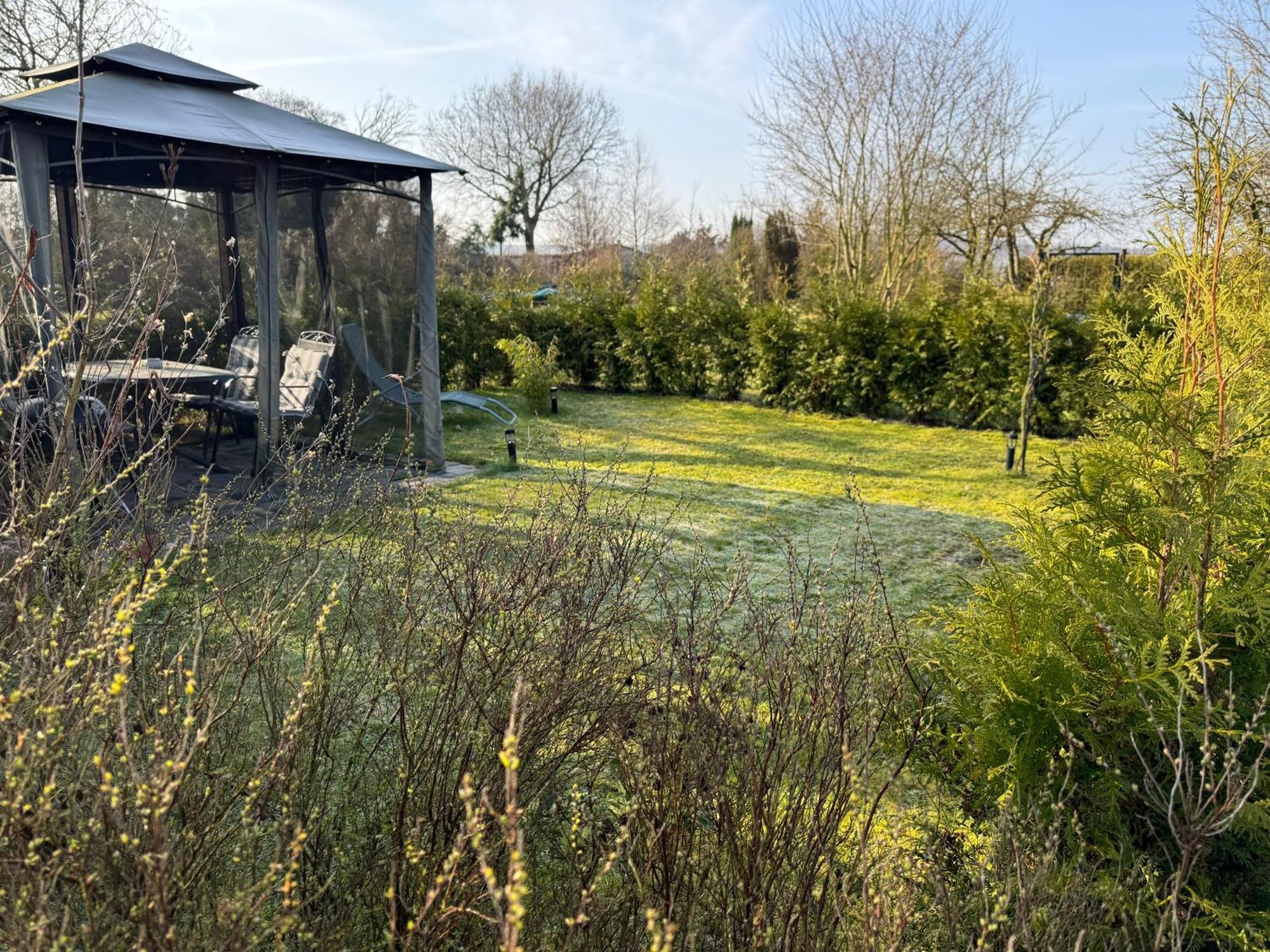 Ferienwohnung Am See Dillich - Ruhige Lage - Eigener Garten - Direkt Neben Einem Natursee Borken  Exterior foto