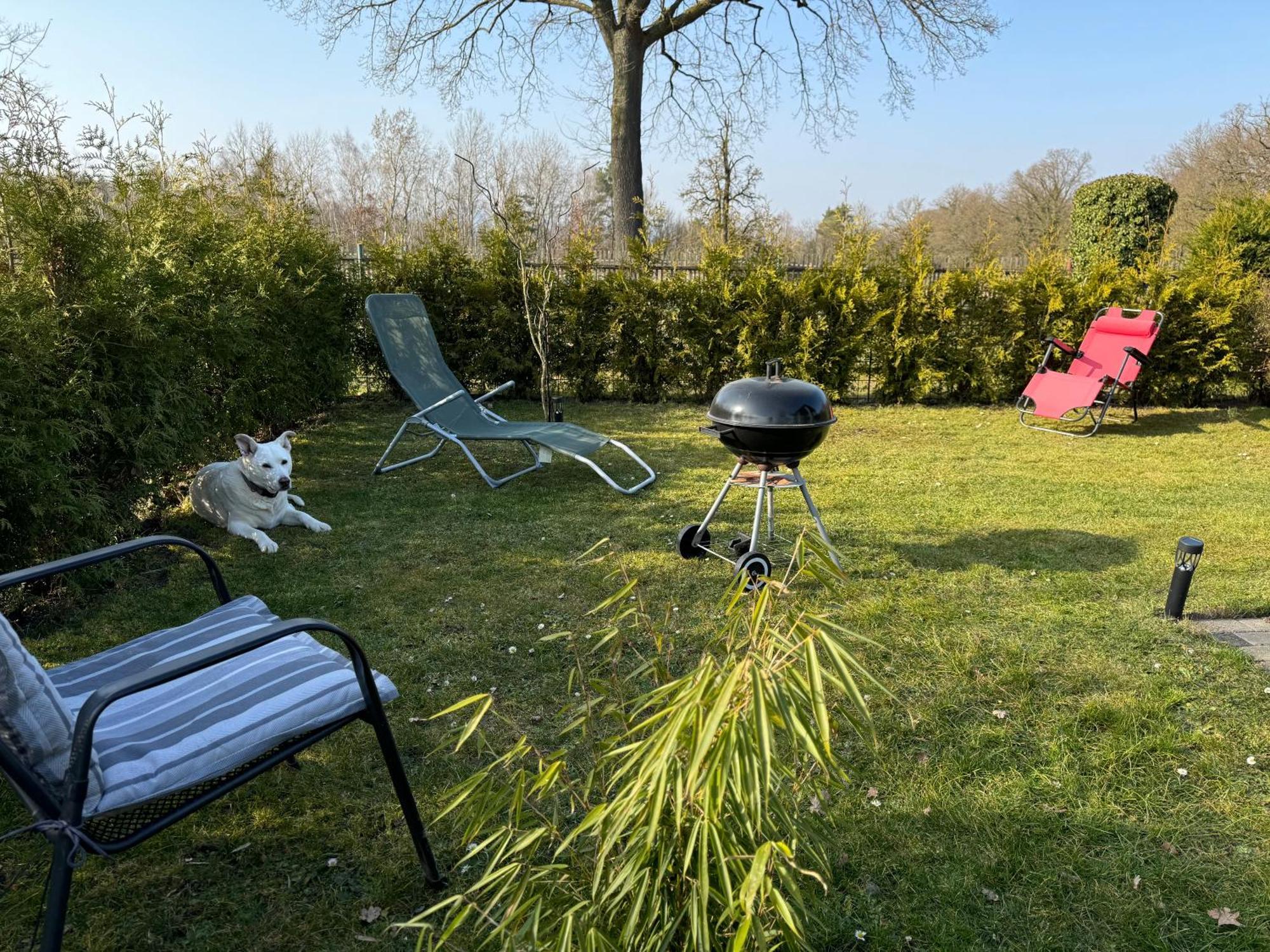 Ferienwohnung Am See Dillich - Ruhige Lage - Eigener Garten - Direkt Neben Einem Natursee Borken  Exterior foto