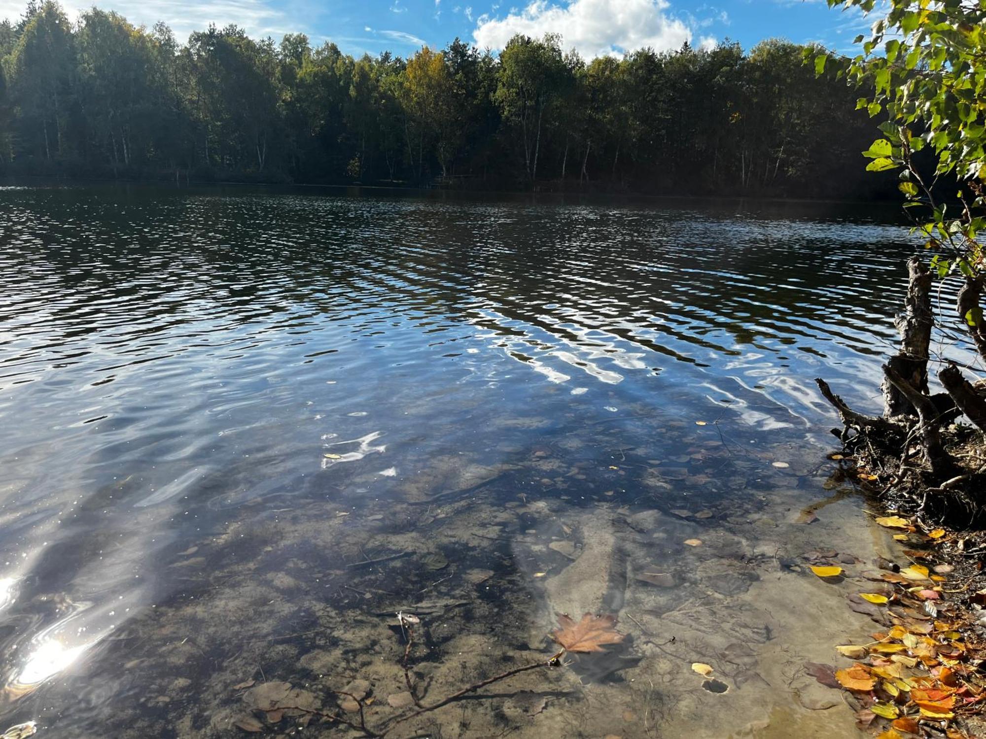 Ferienwohnung Am See Dillich - Ruhige Lage - Eigener Garten - Direkt Neben Einem Natursee Borken  Exterior foto